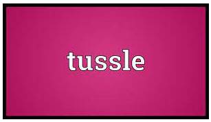 Tussle  - A short struggle, fight or argument especially in order to get something.