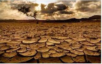 Famine - A lack of food over a long period of time in a large area that can cause the death of many people.