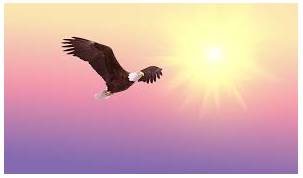 Soaring - To fly high in the air.