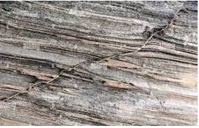 Faulting - The production of a fault or faults in a rock formation.