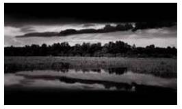 Sombre - Dark or dull in colour or tone.