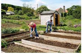 Allotment - A plot of land rented by an individual for growing vegetables or flowers.