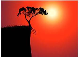 Brink - The extreme edge of land before a steep slope or a body or water.