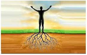 Grounding - Basic training or instruction in a subject.