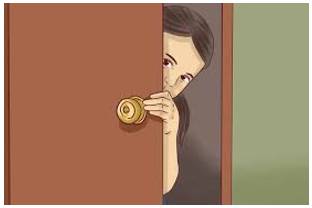 Sneaked - Move or go in a furtive or stealthy way.