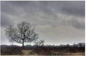 Dreary - Depressingly dull and bleak or repetitive.