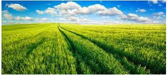 Vast - Of very great extent or quantity.