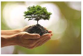 Prosperity - Successful in material terms