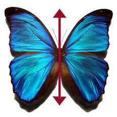 Bilateral - Having or relating to two sides; affecting both sides.