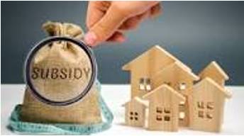 Subsidy - A sum of money granted by the state or a public body to help an industry or business keep the price of a commodity or service low.
