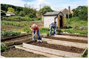 Allotted - A plot of land rented by an individual for growing vegetables or flowers.