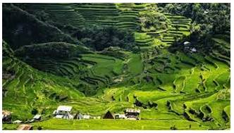 Province - A principal administrative division of a country or empire.
