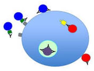 Neutralized - Make (something) ineffective by applying an opposite force or effect.