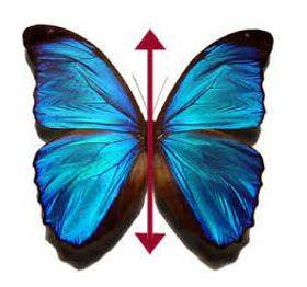 Bilateral - Having or relating to two sides; affecting both sides.