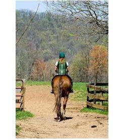 Mounting - Riding an animal, typically a horse, especially for military or other duty.