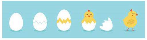 Hatched - Open and produce a young animal.