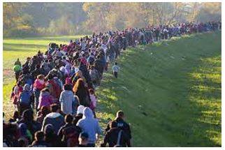 Migrated - Movement from one part of something to another.