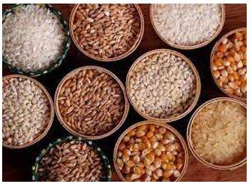 Provision - The action of providing or supplying something for use.