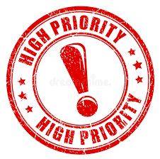 Prioritizing - Designate or treat (something) as being very or most important.