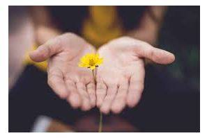 Granting - Used to admit that something is true, before saying something else about it.