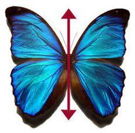 Bilateral - Having or relating to two sides; affecting both sides.