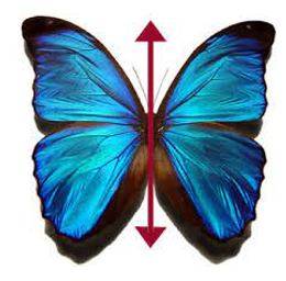 Bilateral - Having or relating to two sides; affecting both sides.