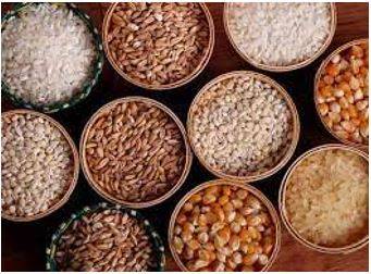 Provision - The action of providing or supplying something for use.
