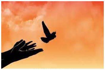 Liberation - Freed from or opposed to traditional social and sexual attitudes or roles.
