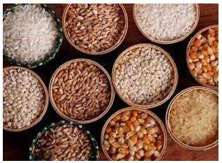 Provision - The action of providing or supplying something for use.