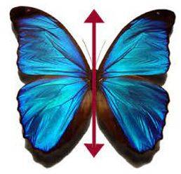 Bilateral - Having or relating to two sides; affecting both sides.