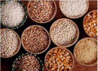 Provisional - The action of providing or supplying something for use.