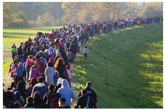Migration - Movement from one part of something to another.