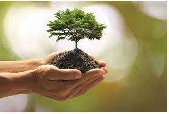 Prosperity - Successful in material terms