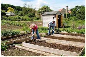 Allotted - A plot of land rented by an individual for growing vegetables or flowers.