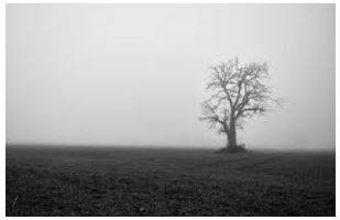 Bleakness - Lacking vegetation and exposed to the elements.