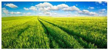 Vast - Of very great extent or quantity.
