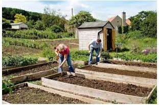 Allotted - A plot of land rented by an individual for growing vegetables or flowers.