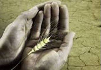 Starvation - Suffering or death caused by lack of food.