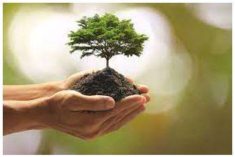 Prosperous - Successful in material terms