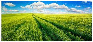 Vast - Of very great extent or quantity.