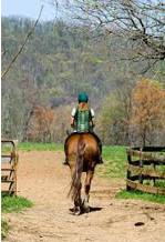 Mounted - Riding an animal, typically a horse, especially for military or other duty.