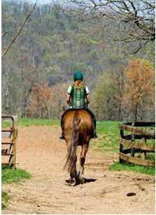Mounting - Riding an animal, typically a horse, especially for military or other duty.