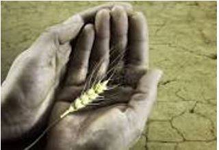Starving - Suffering or death caused by lack of food.