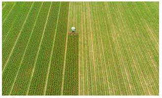 Extensively - Covering or affecting a large area.