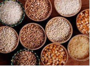 Provision - The action of providing or supplying something for use.