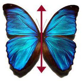 Bilateral - Having or relating to two sides; affecting both sides.