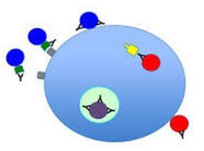 Neutralize - Make (something) ineffective by applying an opposite force or effect.