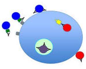 Neutralizing - Make (something) ineffective by applying an opposite force or effect.