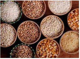 Provision - The action of providing or supplying something for use.