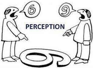 Perception - The ability to see, hear, or become aware of something through the senses.